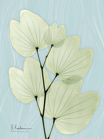 Orchid Tree L122 White Modern Wood Framed Art Print with Double Matting by Koetsier, Albert