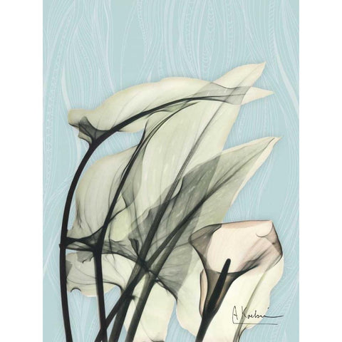 Calla Lily Leaves White Modern Wood Framed Art Print by Koetsier, Albert