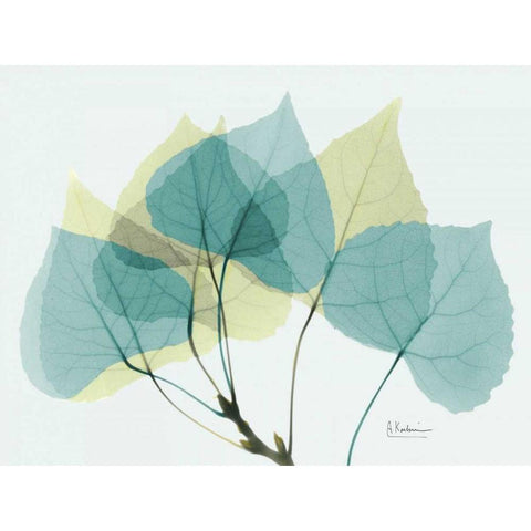 Aspen E143 White Modern Wood Framed Art Print by Koetsier, Albert