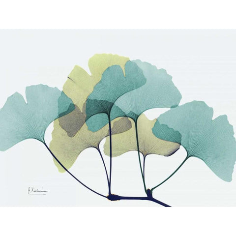 Gingko L140 Black Modern Wood Framed Art Print by Koetsier, Albert