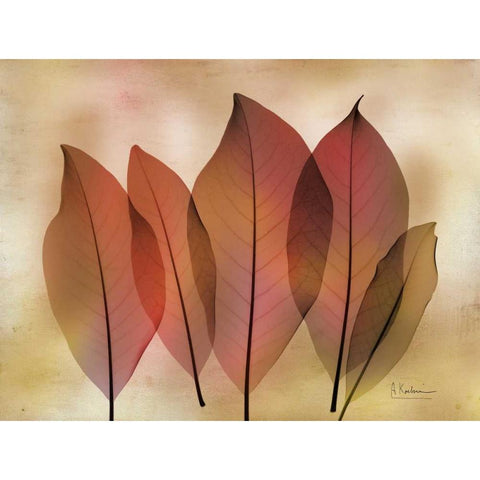 Harvest Light 2 Black Modern Wood Framed Art Print with Double Matting by Koetsier, Albert