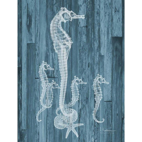 Seahorse Wood Black Modern Wood Framed Art Print with Double Matting by Koetsier, Albert