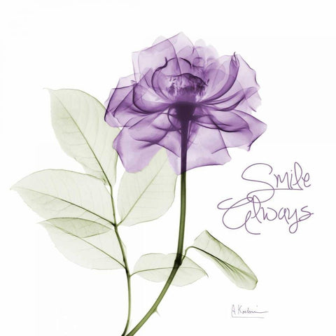 Smile Always Purple Black Modern Wood Framed Art Print by Koetsier, Albert