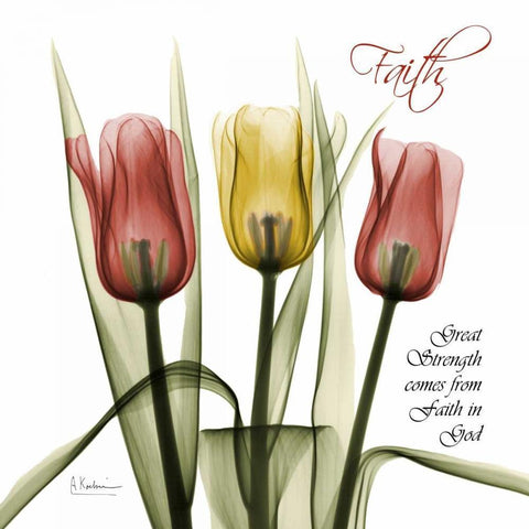 Faith Tulips White Modern Wood Framed Art Print by Koetsier, Albert