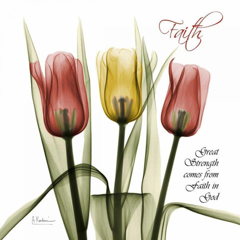 Faith Tulips Black Modern Wood Framed Art Print by Koetsier, Albert