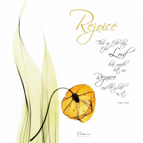 Sandersonia Day H51 White Modern Wood Framed Art Print by Koetsier, Albert