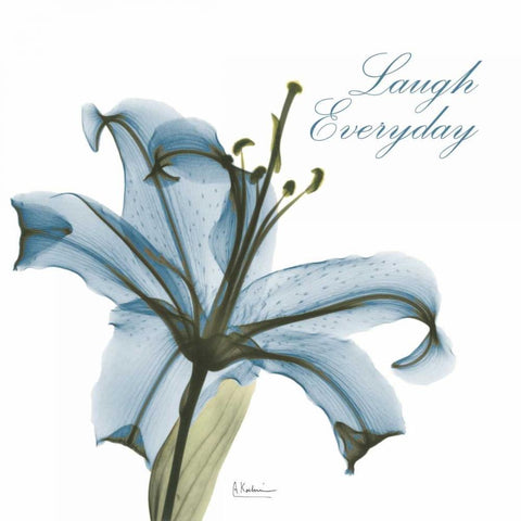 Laugh Everday Lily A36 White Modern Wood Framed Art Print with Double Matting by Koetsier, Albert
