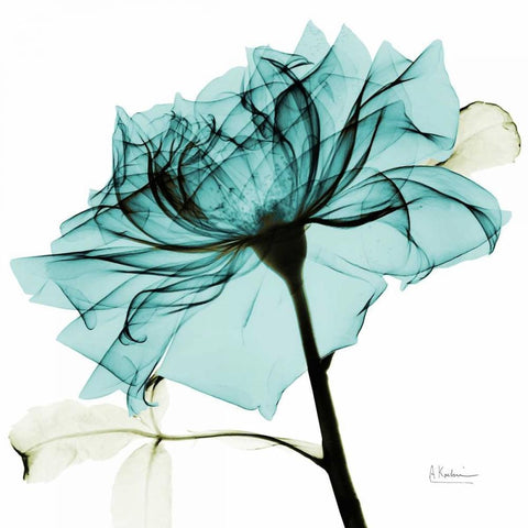 Teal Rose 2 White Modern Wood Framed Art Print by Koetsier, Albert