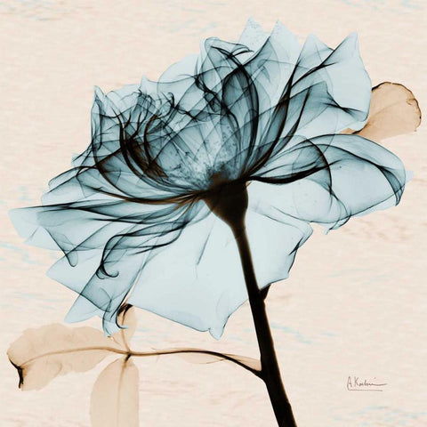 Teal Rose 2 White Modern Wood Framed Art Print with Double Matting by Koetsier, Albert