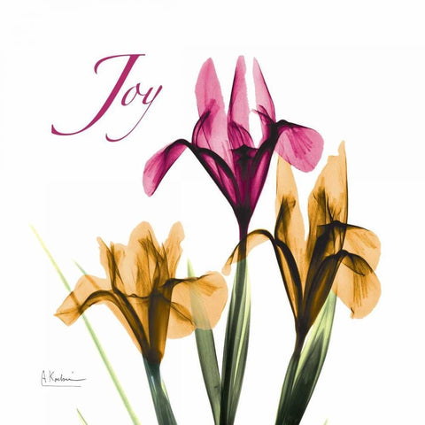 Iris Joy White Modern Wood Framed Art Print by Koetsier, Albert