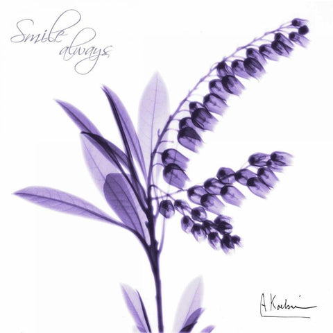 Smile_always Black Modern Wood Framed Art Print by Koetsier, Albert