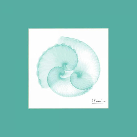 Argonaut Seafoam Matte White Modern Wood Framed Art Print with Double Matting by Koetsier, Albert