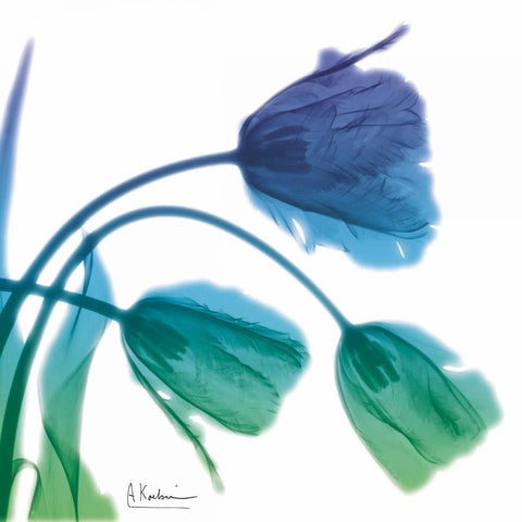 Tulips L83 Turq Blue White Modern Wood Framed Art Print by Koetsier, Albert