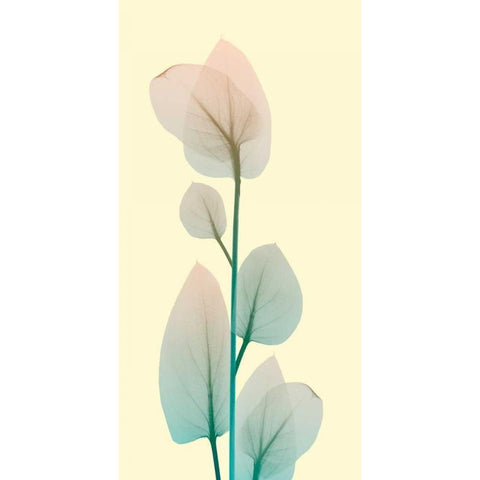Blissful Bloom 2 White Modern Wood Framed Art Print by Koetsier, Albert
