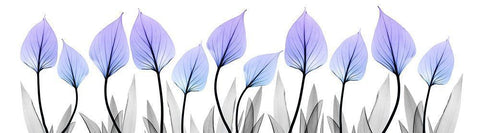 Ultra Violet Growth White Modern Wood Framed Art Print with Double Matting by Koetsier, Albert