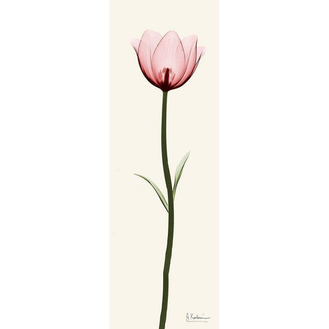 Standing Tall 1 White Modern Wood Framed Art Print by Koetsier, Albert