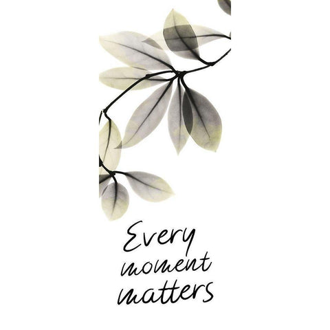 Every Moment Matters White Modern Wood Framed Art Print by Koetsier, Albert