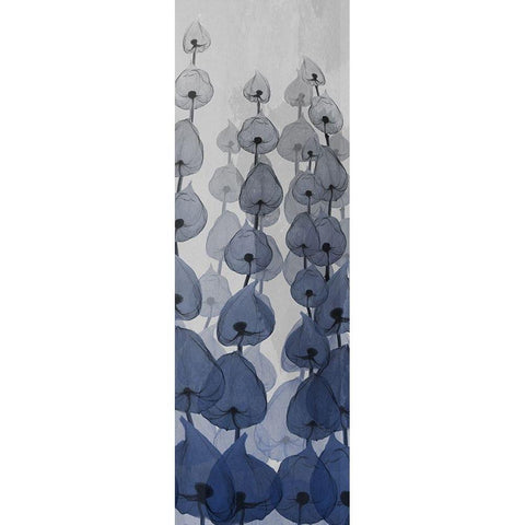 Sapphire Blooms 2 Black Modern Wood Framed Art Print with Double Matting by Koetsier, Albert