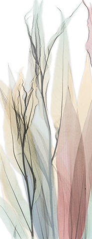 Sprouting Hues 6 White Modern Wood Framed Art Print with Double Matting by Koetsier, Albert