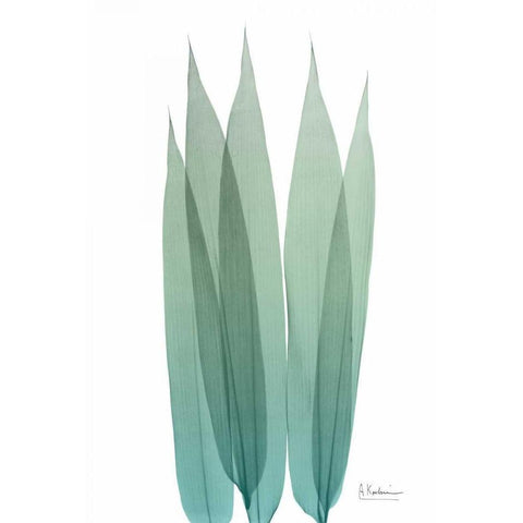 Radiant Bamboo Leaf 1 White Modern Wood Framed Art Print by Koetsier, Albert