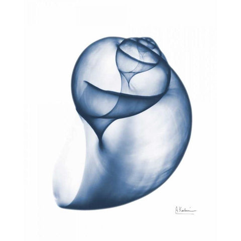 Indigo Water Snail White Modern Wood Framed Art Print by Koetsier, Albert