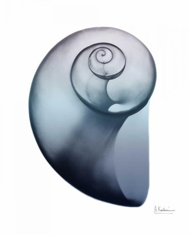 Lavender Snail 2 White Modern Wood Framed Art Print with Double Matting by Koetsier, Albert
