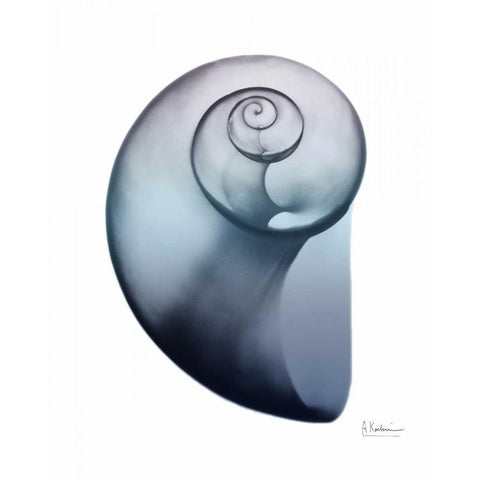 Lavender Snail 2 White Modern Wood Framed Art Print by Koetsier, Albert