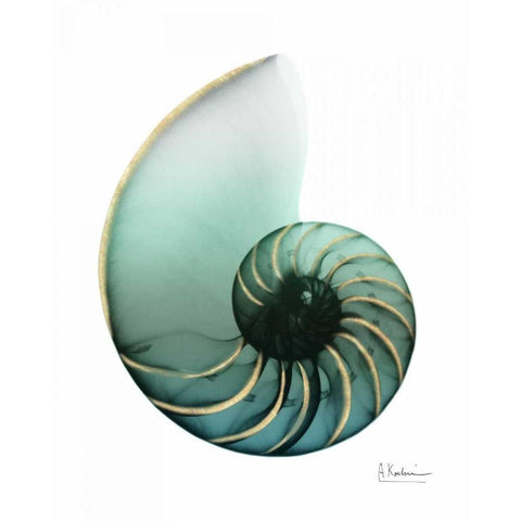 Shimmering Snail 4 Black Modern Wood Framed Art Print by Koetsier, Albert