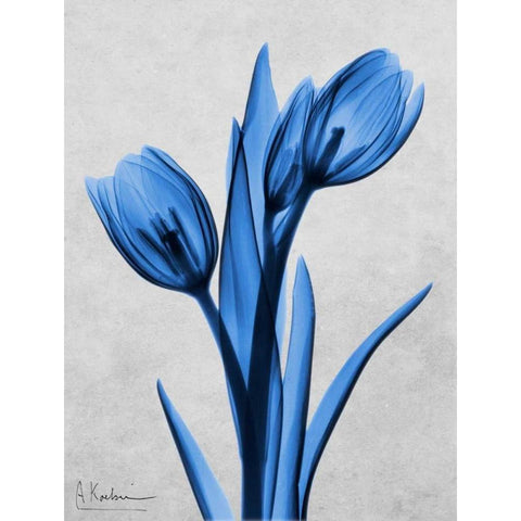 Midnight Tulips White Modern Wood Framed Art Print by Koetsier, Albert