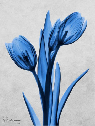Midnight Tulips Black Ornate Wood Framed Art Print with Double Matting by Koetsier, Albert