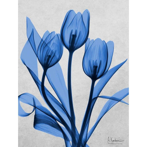 Midnight Tulips 2 Black Modern Wood Framed Art Print with Double Matting by Koetsier, Albert