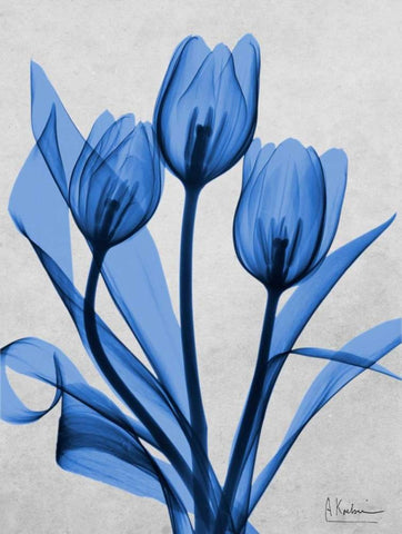 Midnight Tulips 2 Black Ornate Wood Framed Art Print with Double Matting by Koetsier, Albert