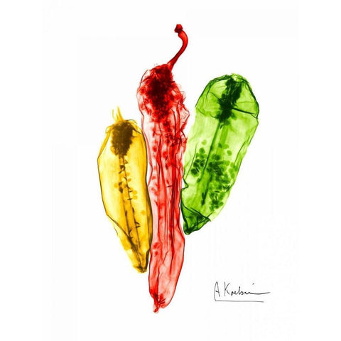 Peppers Picante Black Modern Wood Framed Art Print with Double Matting by Koetsier, Albert