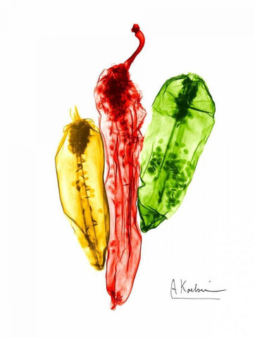 Peppers Picante White Modern Wood Framed Art Print with Double Matting by Koetsier, Albert