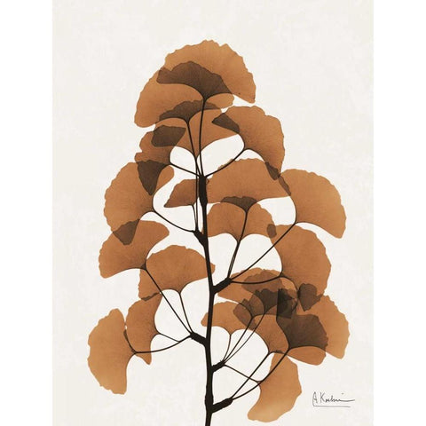 Aged Ginko Black Modern Wood Framed Art Print with Double Matting by Koetsier, Albert