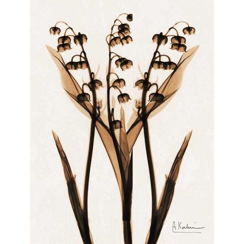 ged Lily Of The Valley Gold Ornate Wood Framed Art Print with Double Matting by Koetsier, Albert