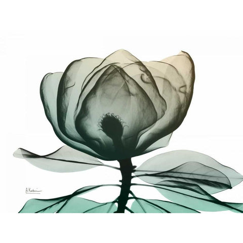 Emerald Magnolia 1 Black Modern Wood Framed Art Print with Double Matting by Koetsier, Albert