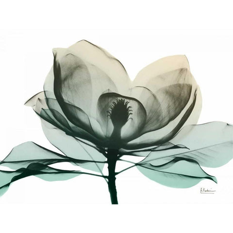 Emerald Magnolia 2 Black Modern Wood Framed Art Print with Double Matting by Koetsier, Albert