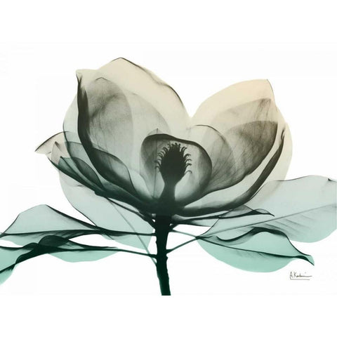 Emerald Magnolia 2 Black Modern Wood Framed Art Print by Koetsier, Albert