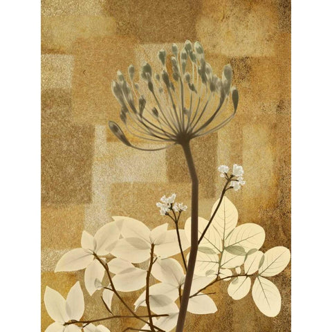 Zenfully Golden 1 White Modern Wood Framed Art Print by Koetsier, Albert