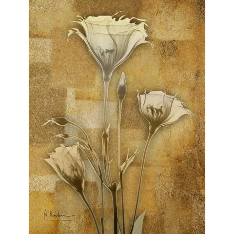 Zenfully Golden 2 Black Modern Wood Framed Art Print by Koetsier, Albert