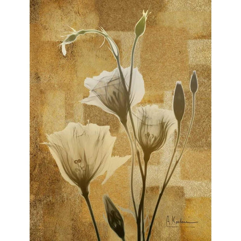 Zenfully Golden 3 White Modern Wood Framed Art Print by Koetsier, Albert