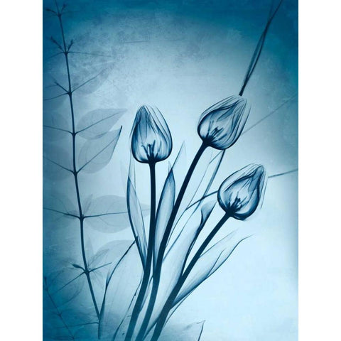 Cerulean Dawn Black Modern Wood Framed Art Print with Double Matting by Koetsier, Albert