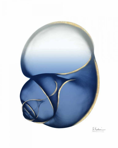 Shimmering Indigo Snail 1 White Modern Wood Framed Art Print with Double Matting by Koetsier, Albert