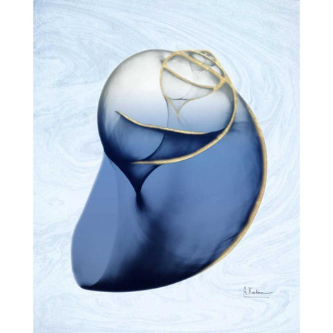 Marble Indigo Snail 2 White Modern Wood Framed Art Print by Koetsier, Albert