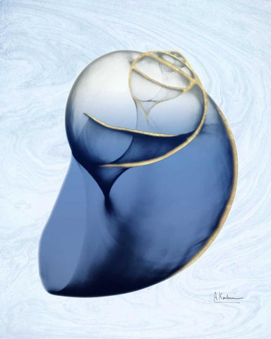 Marble Indigo Snail 2 White Modern Wood Framed Art Print with Double Matting by Koetsier, Albert