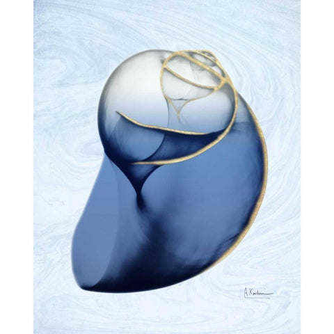 Marble Indigo Snail 2 Black Modern Wood Framed Art Print by Koetsier, Albert