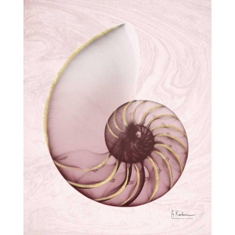 Marble Blush Snail 1 Black Modern Wood Framed Art Print with Double Matting by Koetsier, Albert