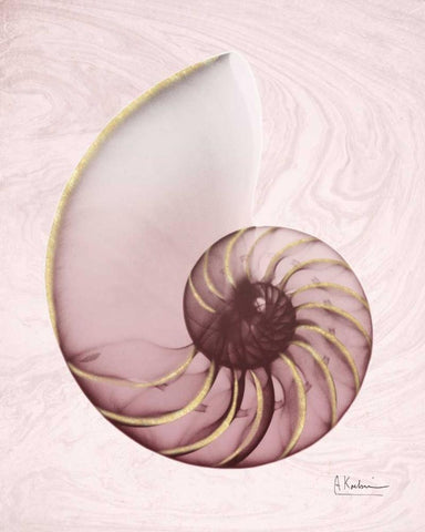 Marble Blush Snail 1 White Modern Wood Framed Art Print with Double Matting by Koetsier, Albert