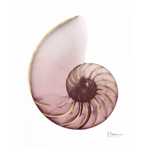 Shimmering Blush Snail 1 Gold Ornate Wood Framed Art Print with Double Matting by Koetsier, Albert